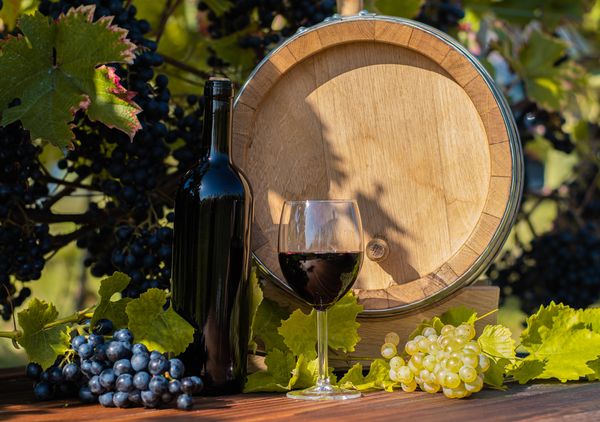 Czerwone wino, beczka i grona